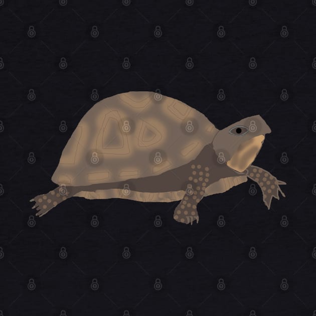 Turtle Walking Illustration by ahadden